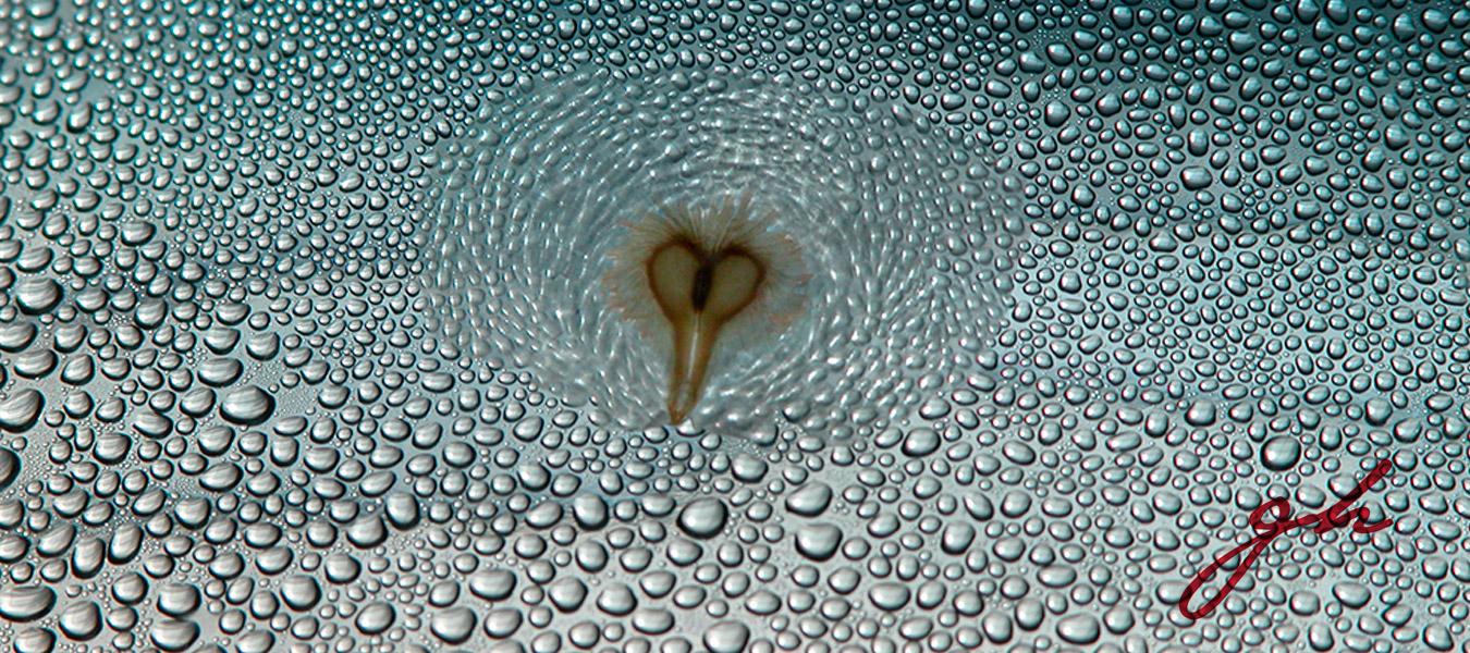 Slider 02 - Gabriela Hennig