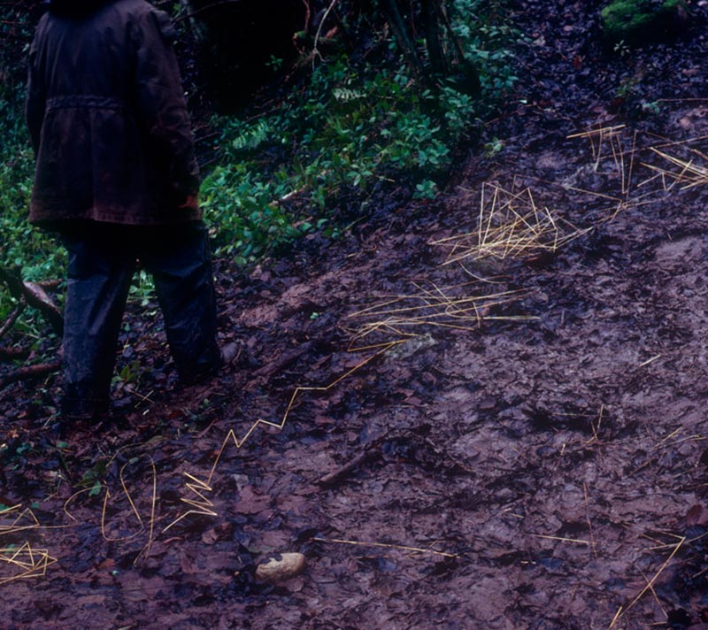 Andy Goldsworthy