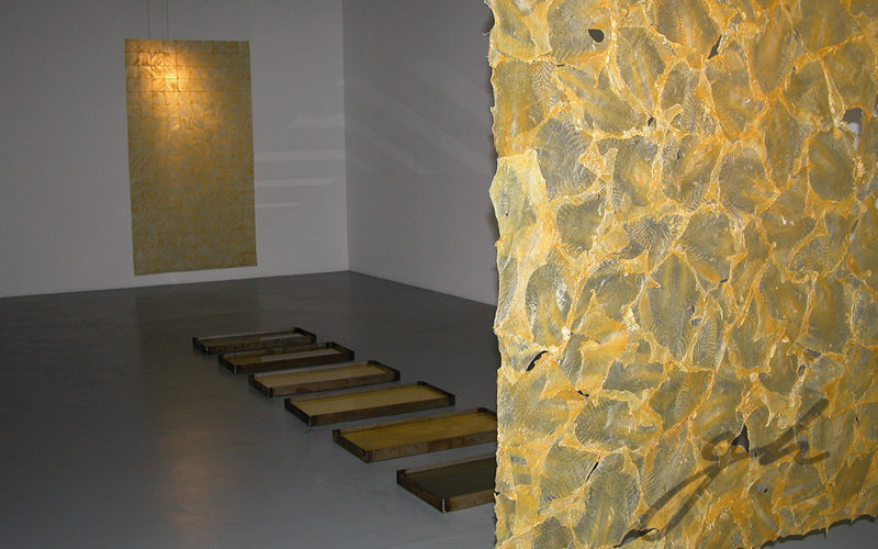 Exhibiciones Colectivas 2003 - Piel - Gabriela Hennig