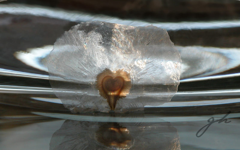 Exhibición Individual Semillas 2006 - Gabriela Hennig